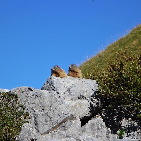 Urlaub Bei Moses Διαμέρισμα Schoppernau Εξωτερικό φωτογραφία