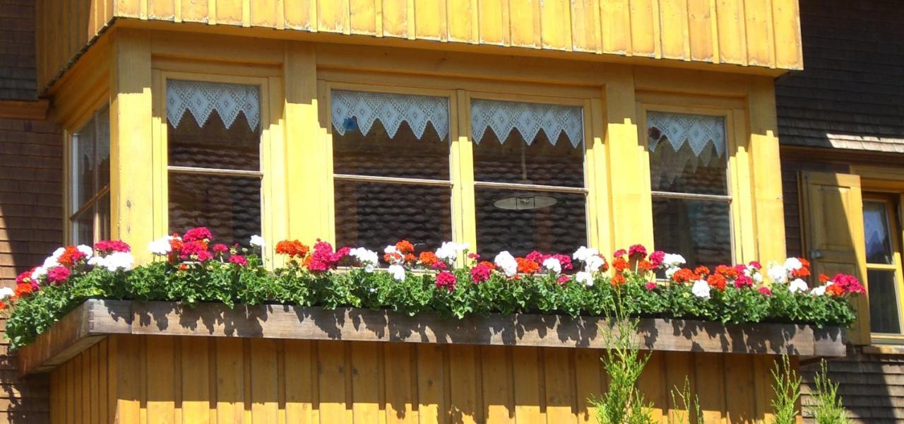 Urlaub Bei Moses Διαμέρισμα Schoppernau Εξωτερικό φωτογραφία